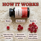 Energy Mushroom Gummies